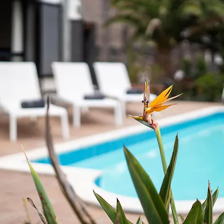 Villa Casa Maravelle Faro Park Sea Views Heated Pool Playa Blanca Yaiza (Lanzarote)